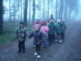 Wejdź p1030326_t1_1.jpg